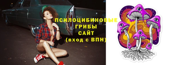 шишки Заволжск