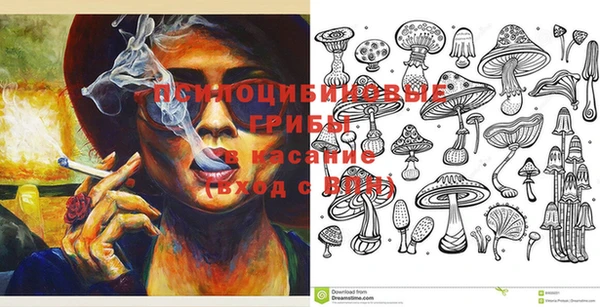 шишки Зерноград