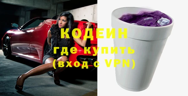 шишки Заволжск