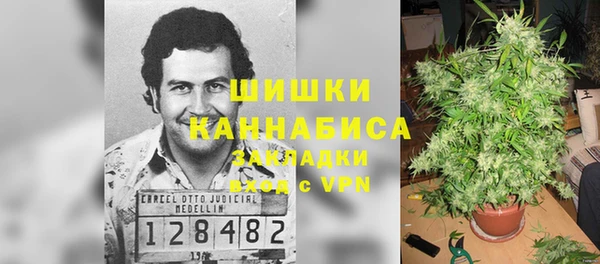 ALPHA-PVP Заводоуковск